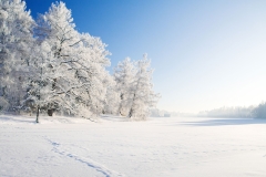 landscapes-04
