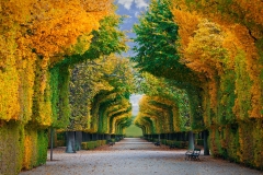landscapes-05