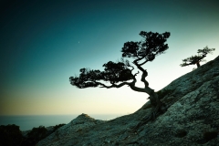 landscapes-08
