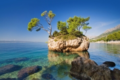 landscapes-12