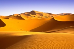 landscapes-13
