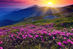 landscapes-15