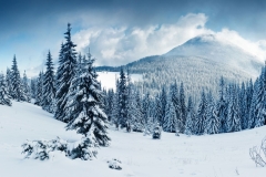 landscapes-16